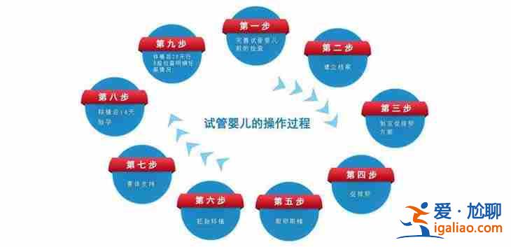 汕頭代懷機構(gòu) - 吃什么東西能助孕快？
