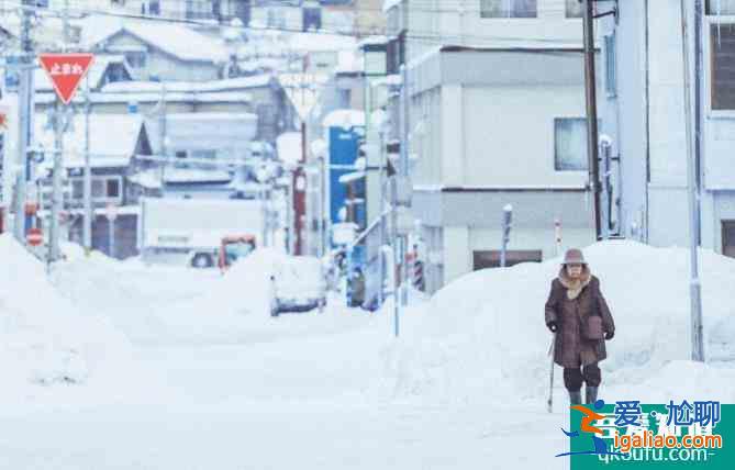 北海道小樽游攻略 北海道小樽游冬季旅行必做的20件事？