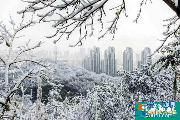 重慶冬季看雪哪里好 重慶冬季看雪的景點及攻略？