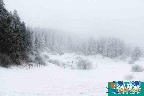 重慶冬季看雪哪里好 重慶冬季看雪的景點及攻略？