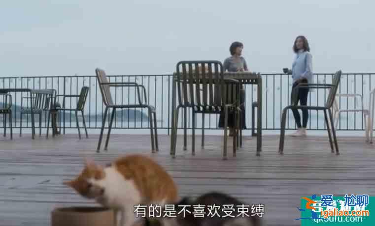 《白色月光》張鑫出軌對象是楊雁，孫雯雯是炮灰，張鑫設(shè)的什么局？