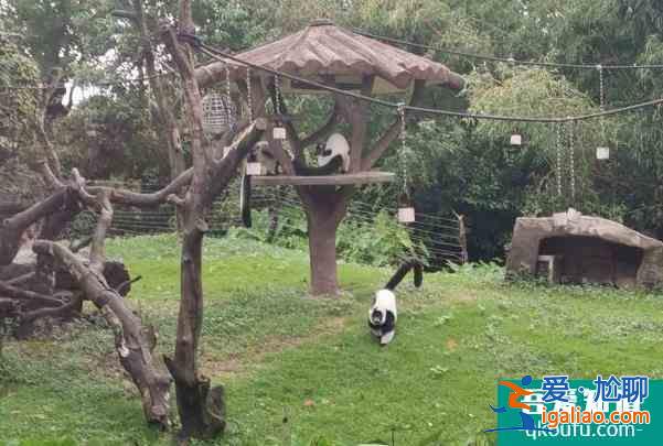 2021受疫情影響南京金牛湖野生動物園取消12月16日免費開放日活動？