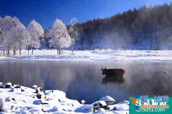 呼倫貝爾冬季旅游路線圖 大草原冬季旅游就應(yīng)該這么玩？