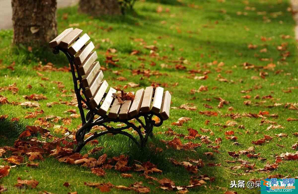《以家人之名》劇情發(fā)展之大結(jié)局槍戰(zhàn)？