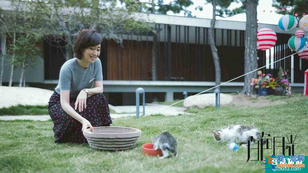 首創(chuàng)婚姻懸疑片！《白色月光》看宋佳大女主如何手撕渣男小三？？