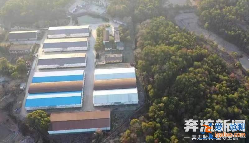 胡鑫宇遺體發(fā)現(xiàn)地距森林公安局150米 “搜尋時一直擴大范圍 沒想到人就在跟前”？