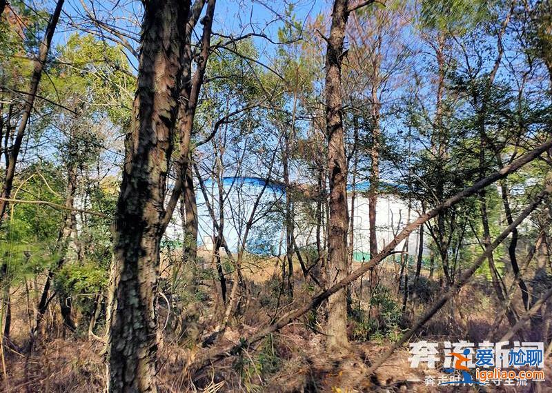 胡鑫宇遺體發(fā)現(xiàn)地距森林公安局150米 “搜尋時一直擴大范圍 沒想到人就在跟前”？
