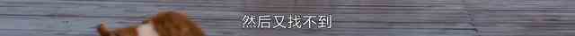 《白色月光》：張鑫出軌了嗎？小三究竟是誰？真相已在細節(jié)中？