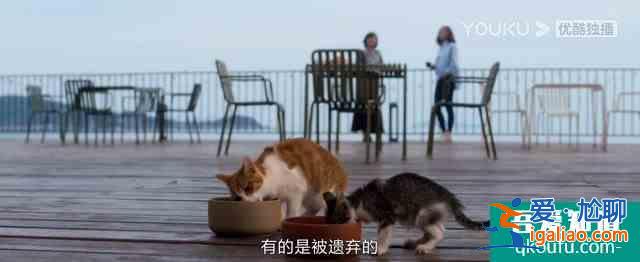 《白色月光》：張鑫出軌了嗎？小三究竟是誰？真相已在細節(jié)中？