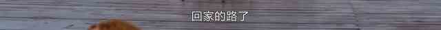 《白色月光》：張鑫出軌了嗎？小三究竟是誰？真相已在細節(jié)中？