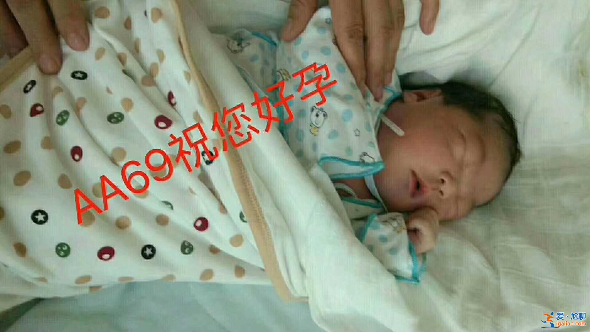 網(wǎng)易熱搜「借肚子懷孕多少錢」吃鹿胎膏助孕是真的嗎？