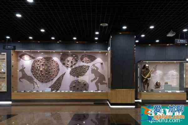 2021中國(guó)古動(dòng)物館人類演化館暫停開放通知？