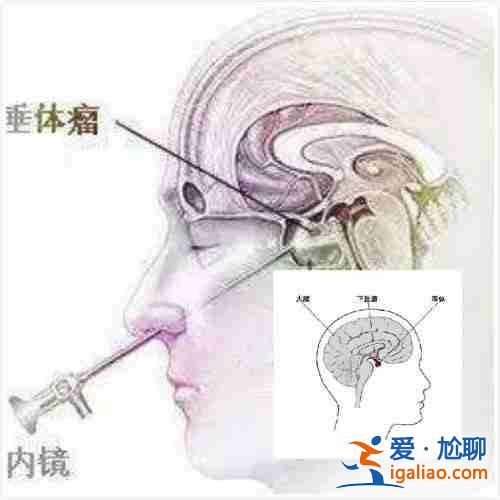 點(diǎn)擊查詢:給別人生孩子?歡迎您的加入？