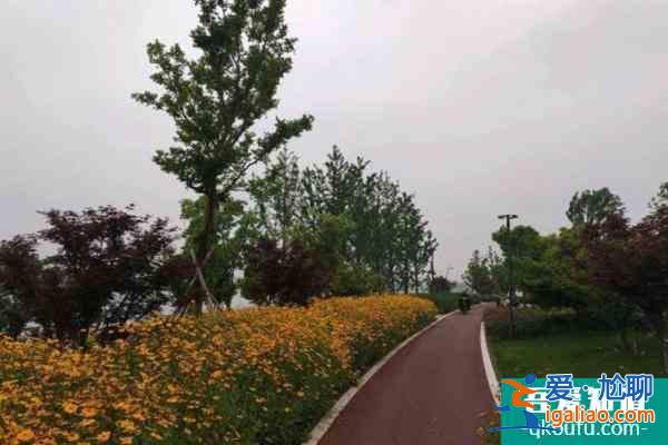 受疫情影響寧波姚江跑步健身道路暫時(shí)關(guān)閉？