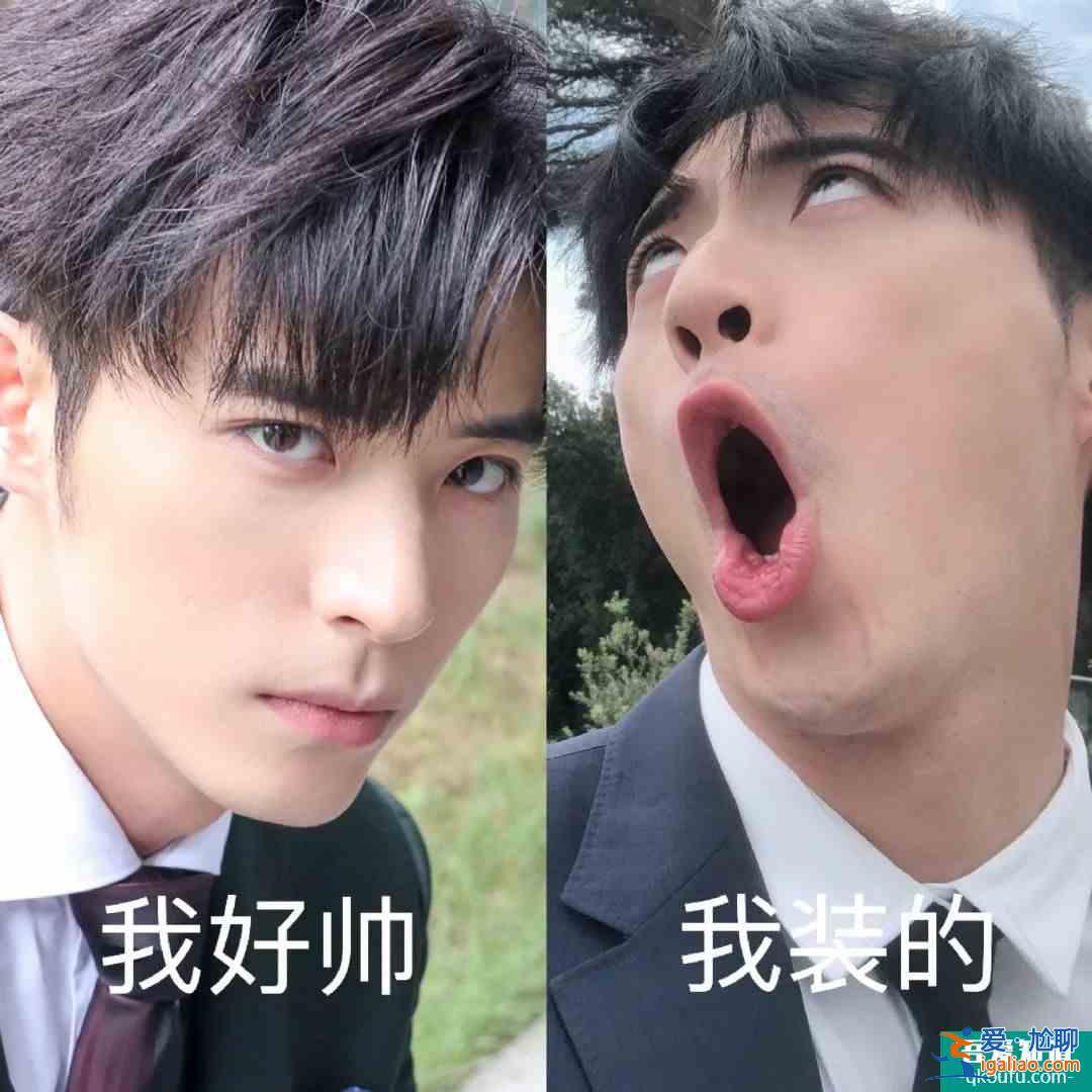 是《且聽鳳鳴》里的冷面傲嬌圣子君臨淵，更是自在生活的快樂水豚先？