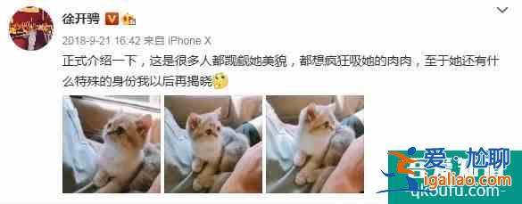 是《且聽鳳鳴》里的冷面傲嬌圣子君臨淵，更是自在生活的快樂水豚先？