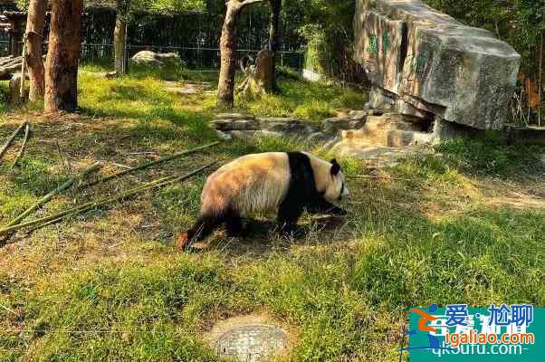 2021寧波受疫情影響寧波野生動(dòng)物園暫停對(duì)外開(kāi)放12月？