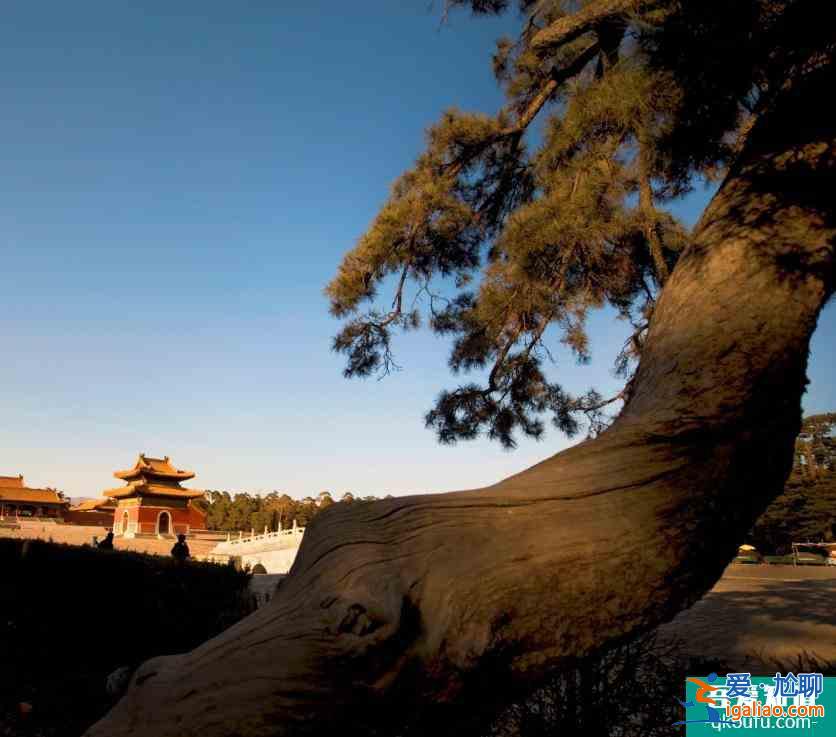 2022清西陵旅游攻略 清西陵旅游路線圖？
