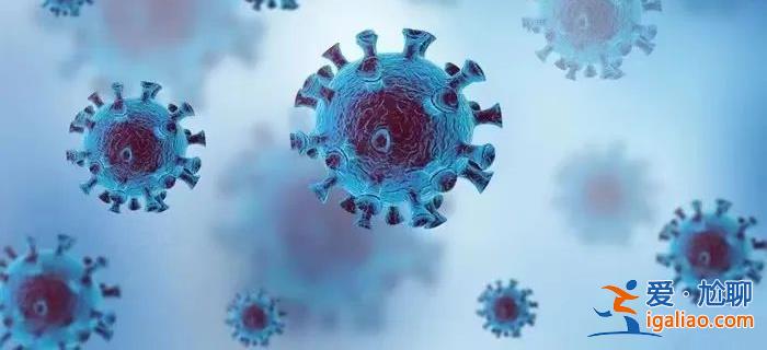 奧密克戎變異株CH.1.1會(huì)引發(fā)第二輪感染嗎？中疾控解析？
