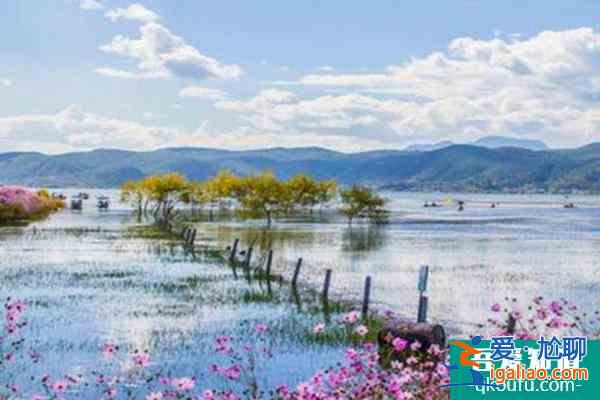 江西艾溪湖森林濕地公園門票多少錢？
