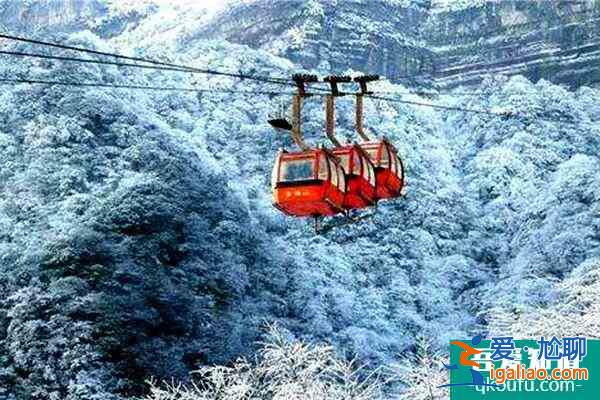 2021重慶金佛山冰雪節(jié)門票價(jià)格？