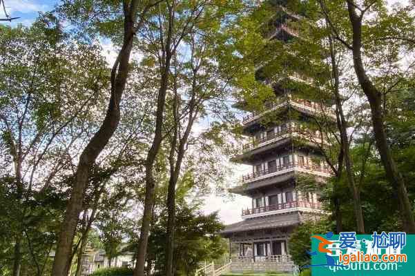 2021受疫情影響宜興龍背山森林公園暫時閉園？