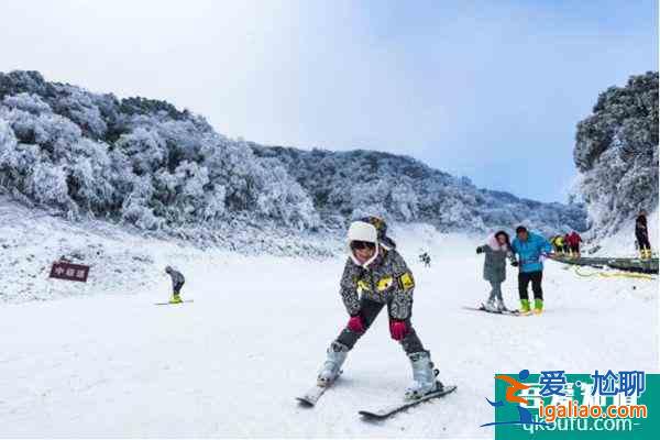 2021重慶金佛山冰雪節(jié)門票價(jià)格？