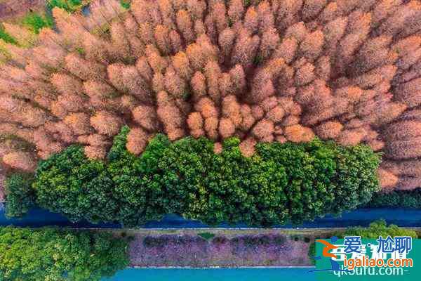 2021上海青西郊野水上森林公園臨時(shí)閉園？