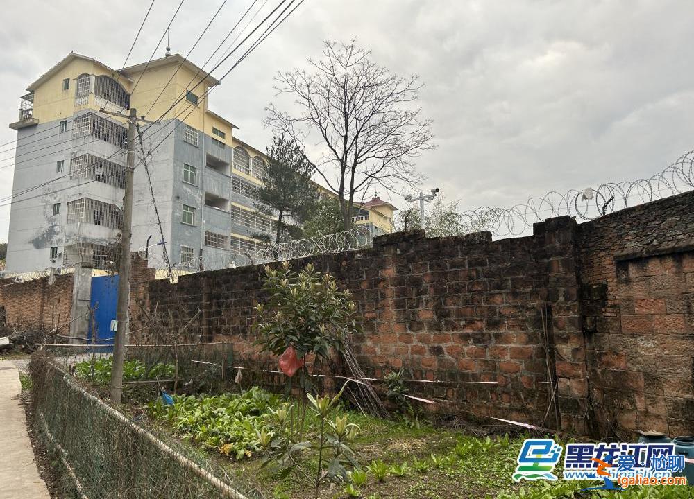 山路設(shè)卡封鎖 校區(qū)特警巡邏、增設(shè)臨檢？