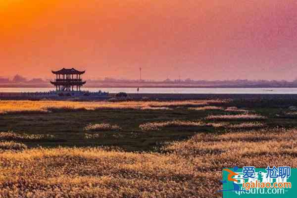 潘陽(yáng)湖吳城候鳥小鎮(zhèn)景區(qū)于12月11日關(guān)閉維護(hù)？