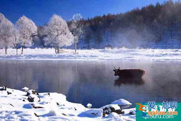 阿爾山冬季旅游攻略 最低溫度是多少？
