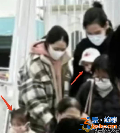 郭碧婷向佐罕見同框!向佐化身奶爸全程帶娃 力破婚變傳聞