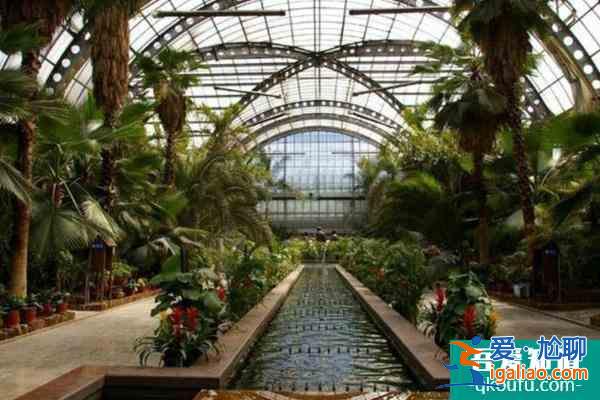 2021天津熱帶植物觀光園門票多少錢？