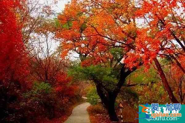 北京香山公園門票多少錢 香山公園如何預(yù)約購票？