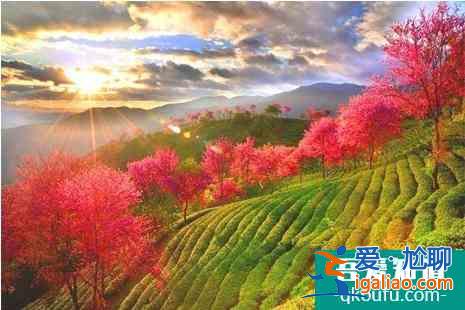 冬季云南旅游景點(diǎn)大全？