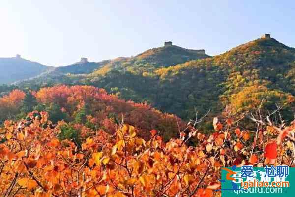 金山嶺長(zhǎng)城旅游入園須知？