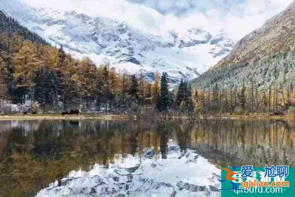2021達(dá)古冰川最佳旅游時(shí)間 達(dá)古冰川冬季旅游攻略？