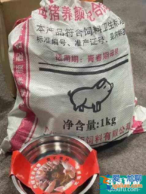 寧靜送豬飼料大禮包 網(wǎng)友笑侃：重出江湖真有寧的？
