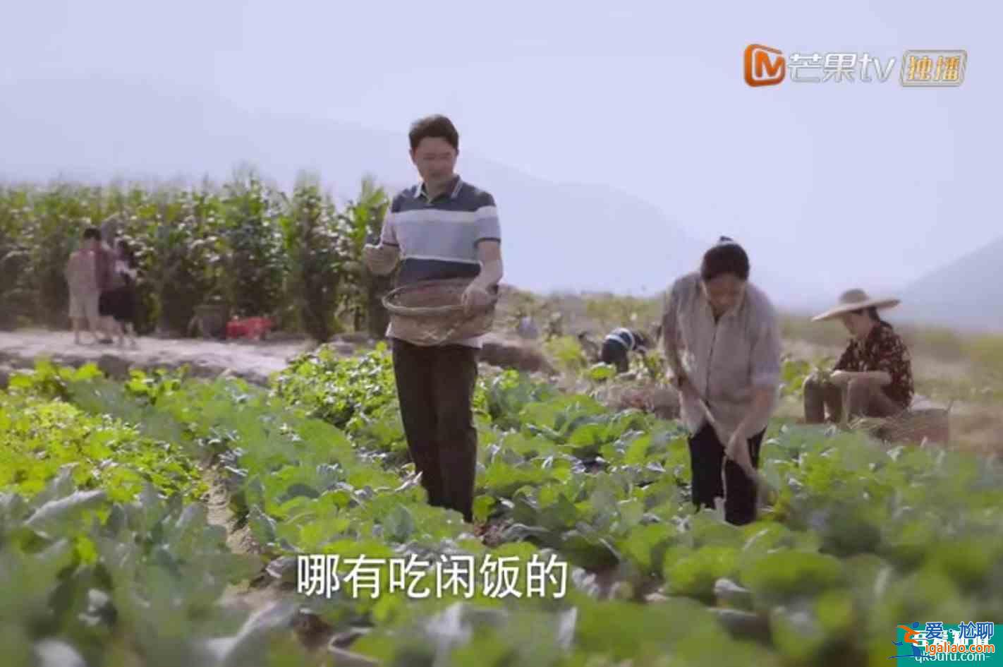 《以家人之名》子秋外婆說嫁得不好認命，怪不得賀梅拋棄子秋？