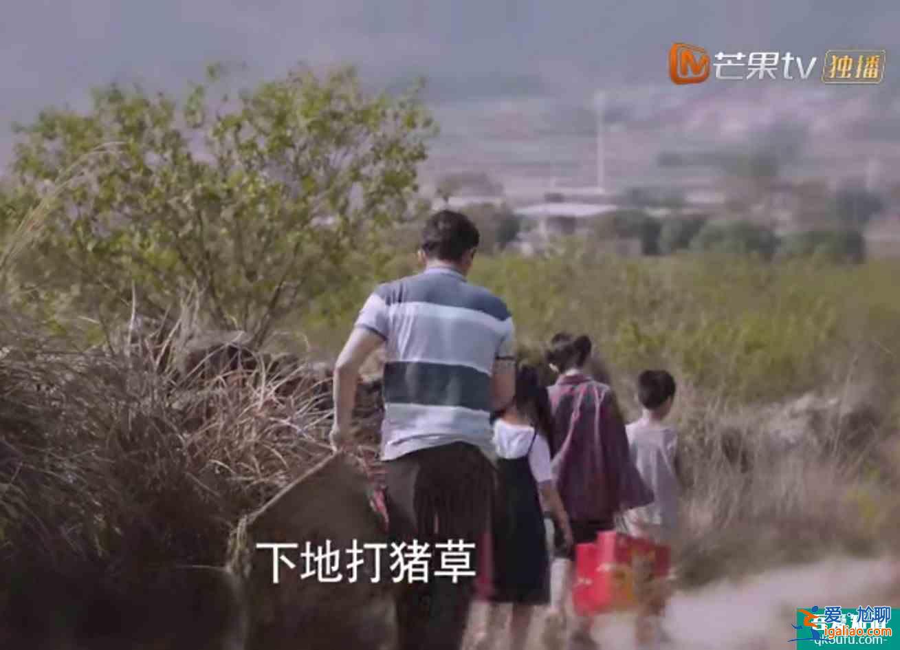 《以家人之名》子秋外婆說嫁得不好認命，怪不得賀梅拋棄子秋？