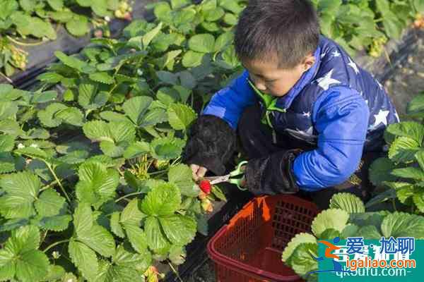 2022惠州尚天然花海溫泉小鎮(zhèn)有什么好玩的？