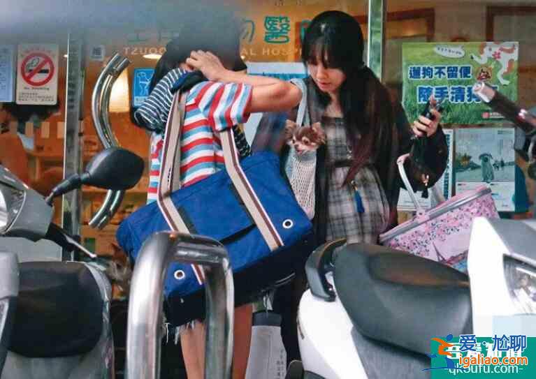 臺(tái)媒曝郭碧婷懷孕 穿寬松連體衣孕肚明顯素顏狀態(tài)好？