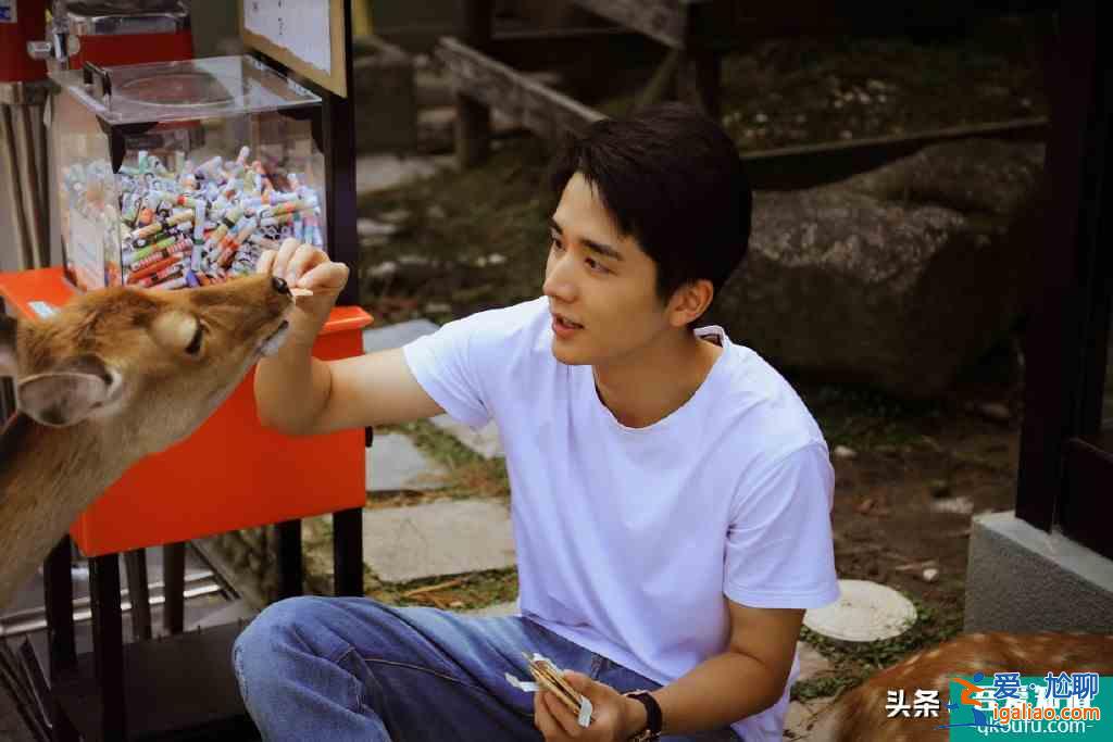 以家人之名，學(xué)哥哥st&lt;x&gt;yle，宋威龍張新成，我上樓了？