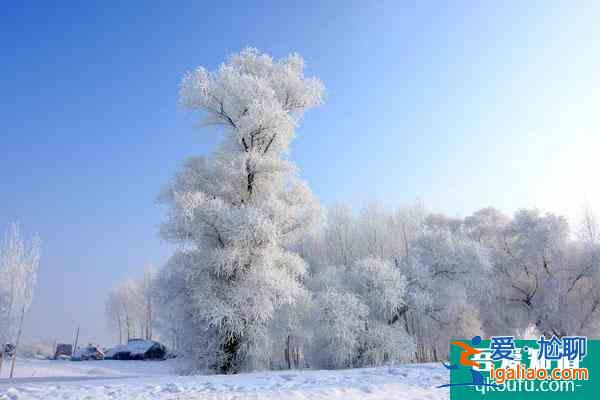 中國(guó)看雪最美的地方推薦 國(guó)內(nèi)看雪的旅游勝地？