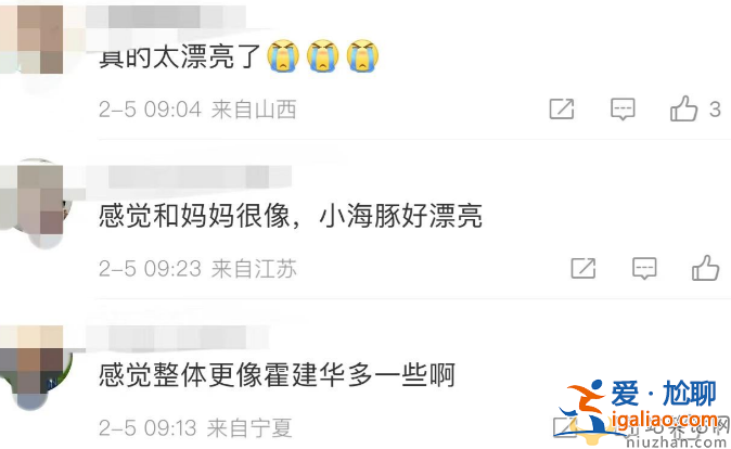 霍建華林心如女兒正臉照曝光 一家三口罕見(jiàn)同框 女兒太像霍建華