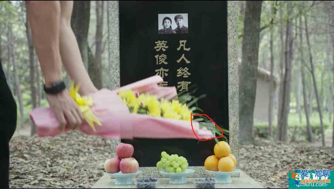 無厘頭劇情適配奇葩人設(shè)，吐槽怪誕生活劇《生活像陽光一樣燦爛》？