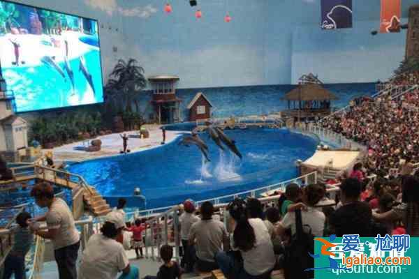 2021天津海昌極地海洋公園雙十二門票優(yōu)惠活動(dòng)？