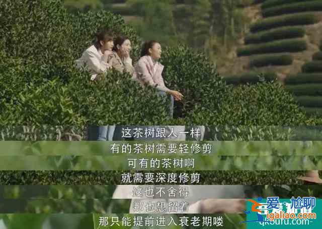 《三十而已》大結(jié)局：人生下半場，需要重新開始的勇氣？
