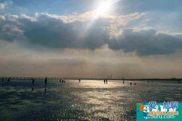 上海天空之境沙灘封閉至2022年5月30日？