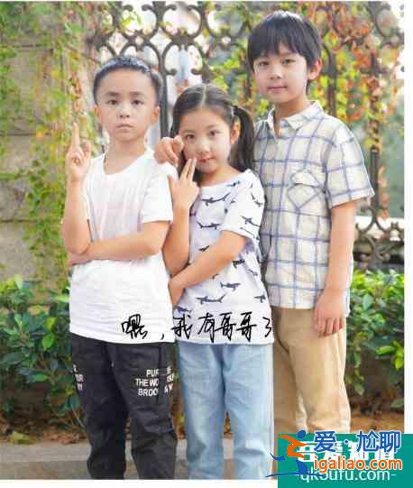 “以家人之名”，又讓觀眾哭著哭著，就被治愈了？